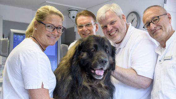 Hautnah: Die Tierklinik